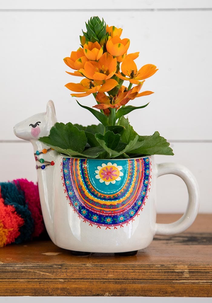 Taza Llama
